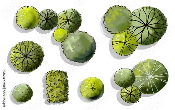 Fototapeta Vector set of Top view green tree for outdoor plan or map and architecture drawing, elements for environment and garden ,botanical elements ,Blooming flowers in spring,tropical plants element