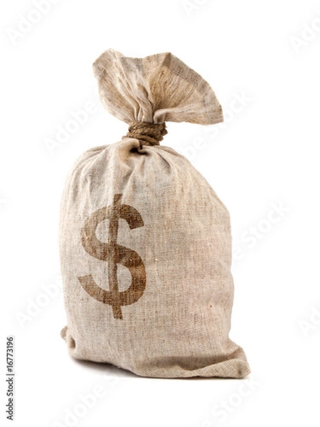 Obraz Money Bag