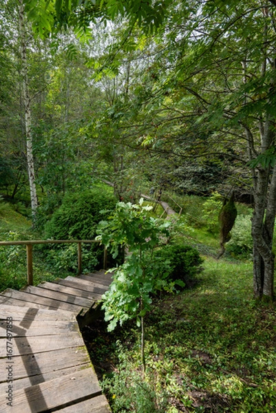 Obraz A landscaped garden park with a wooden pathway, a small stream, and decorative moss sculptures shaped like birds, surrounded by lush green forest.