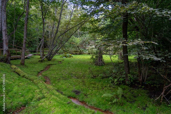 Fototapeta A landscaped garden park with a wooden pathway, a small stream, and decorative moss sculptures shaped like birds, surrounded by lush green forest.