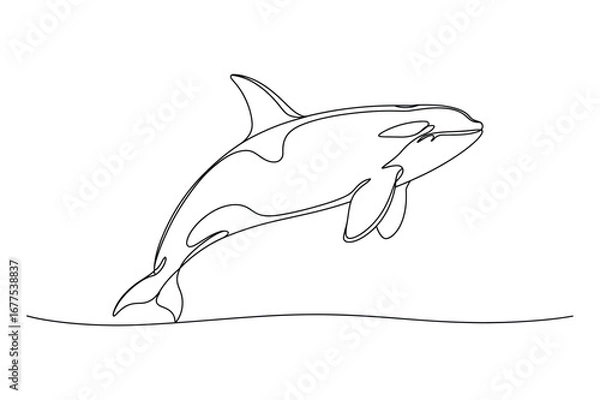 Fototapeta Continuous Line Drawing of an Orca | Vector Illustration for a Marine Animal.