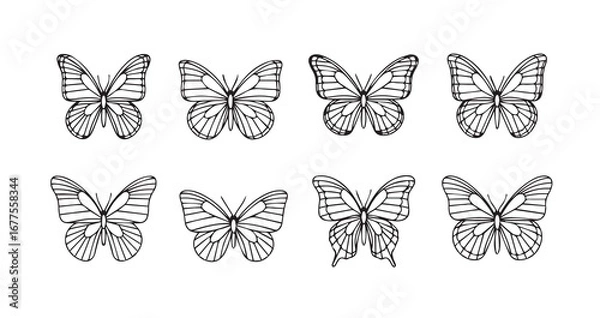 Obraz Butterfly line art icon bundle illustration