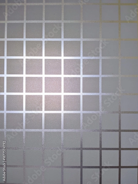 Fototapeta Frosted window film with a grid pattern creates a semi-private, decorative effect. Ideal for modern interiors, offering diffused light and elegant obscurity.