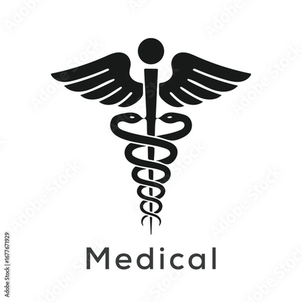 Obraz caduceus medical symbol vector