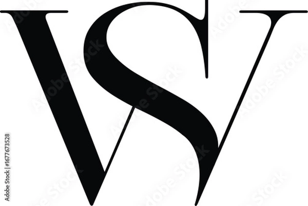 Obraz Vector WS, SW logo