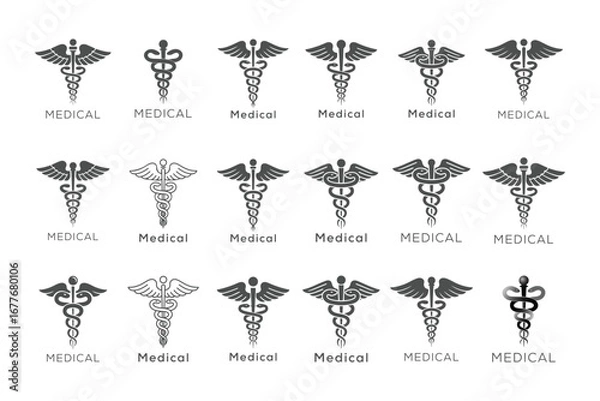Obraz Set of Caduceus medical symbol vector with editable stroke.
