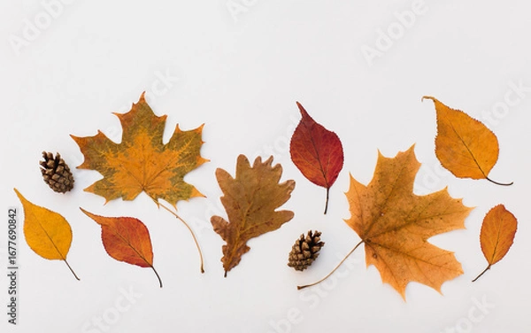 Fototapeta Autumn holiday frame composition with pattern made of leaf, punpkins, dried orange, pine cone on white wooden background. thanksgiving day, halloween eco zero waste concept. Minimal flat lay, top view