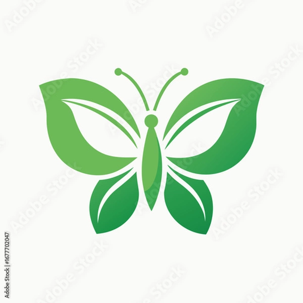 Fototapeta green leaves vector