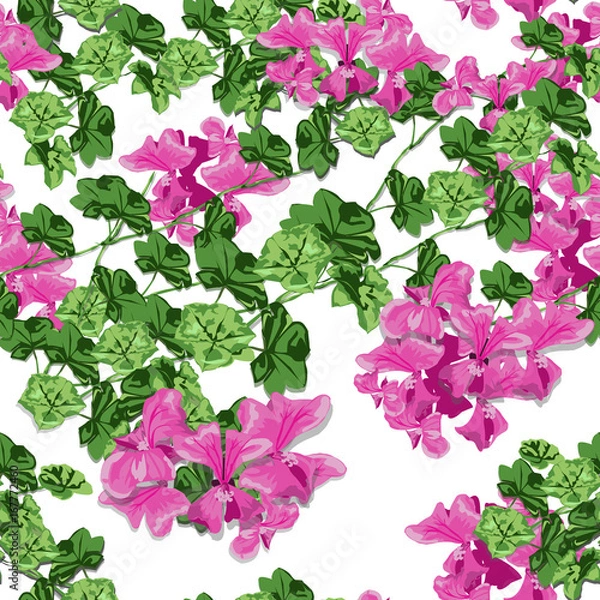 Obraz The Geranium in spring. Pink flower design is vector for seamless pattern and background