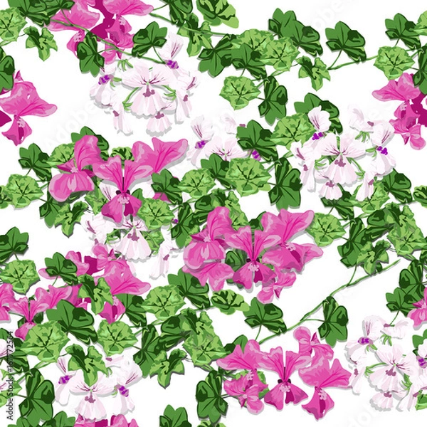Obraz Geranium garden in the spring. White and pink flower design is vector for seamless pattern and background.