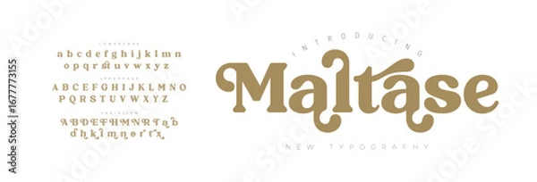 Obraz Maltase Elegant Font Uppercase Lowercase and Number. Classic Lettering Minimal Fashion Designs. Typography modern serif fonts regular decorative vintage concept. vector illustration

