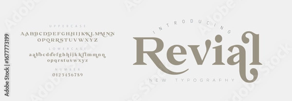 Obraz Revial Elegant Font Uppercase Lowercase and Number. Classic Lettering Minimal Fashion Designs. Typography modern serif fonts regular decorative vintage concept. vector illustration

