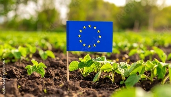 Fototapeta A small European Union flag stands in a vibrant field of emerging seedlings, highlighting the concept of agricultural growth and sustainability.