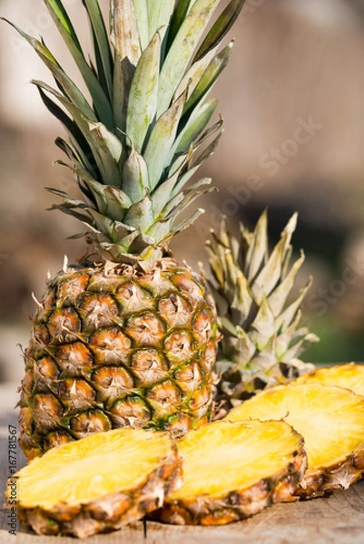 Obraz ananas
