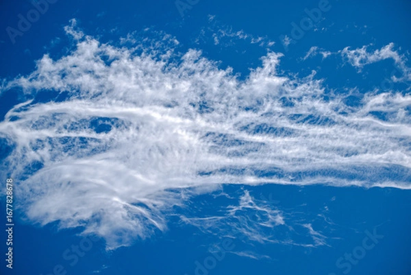 Obraz 青空とスジ雲