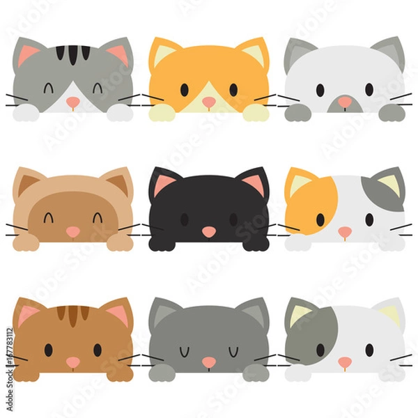 Obraz Peeking Cats In White Background