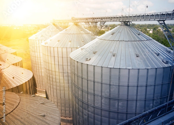 Obraz Silosy do przechowywania zboża. Ocynkowane zbiorniki na ziarno. Spichlerz z wyposażeniem mechanicznym do odbioru, czyszczenia, suszenia, transportu zboża