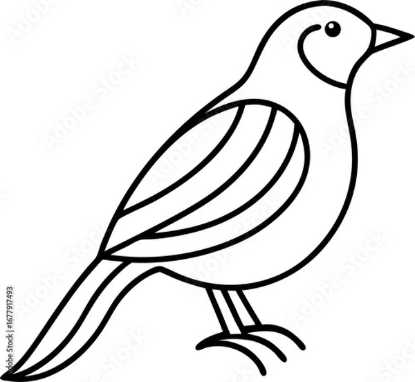 Fototapeta Bird Line 25