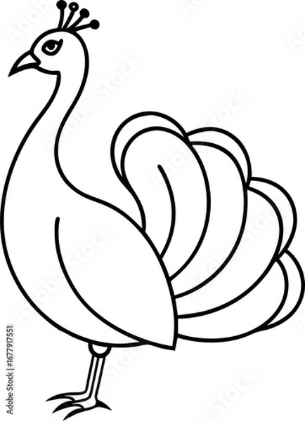 Fototapeta Bird Line 15