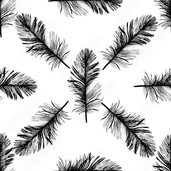 Fototapeta Vector bird feather pattern from wing. Vector feather for background, texture, wrapper pattern, frame or border.
