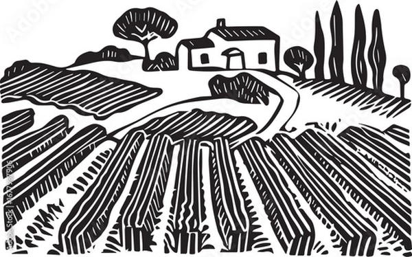 Fototapeta Vineyard Vista: A detailed, monochrome illustration of a lush vineyard landscape, where rows of vines stretch towards a quaint building nestled amid gentle hills.