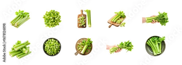 Fototapeta Collection of Pile of celery ribs isolate on transparency background