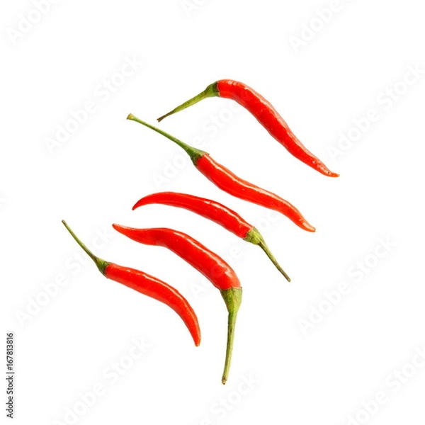 Fototapeta Cayenne pepper, Red chili isolated on white background