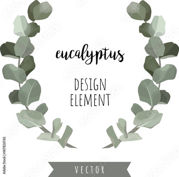 Fototapeta Eucalyptus branches. Wreath frame design. Vector illustration.