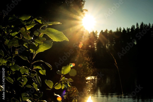Fototapeta Sunset on pond