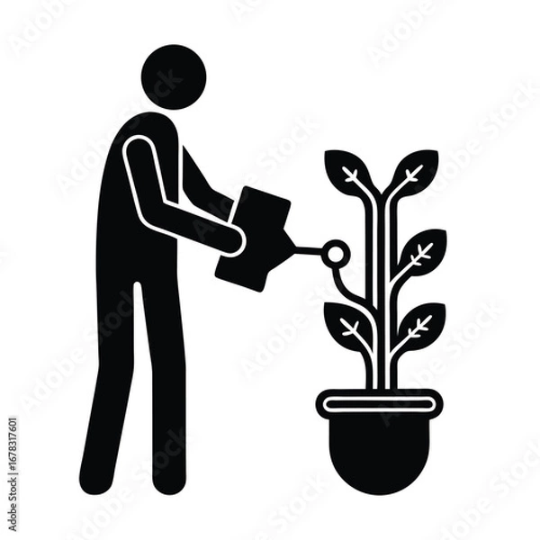 Fototapeta Person watering a plant in a pot