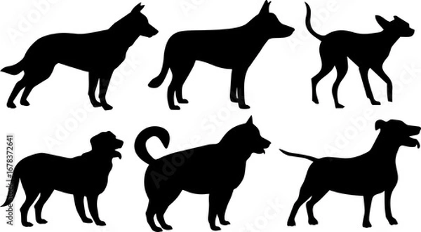 Obraz Dog vector, Dog png