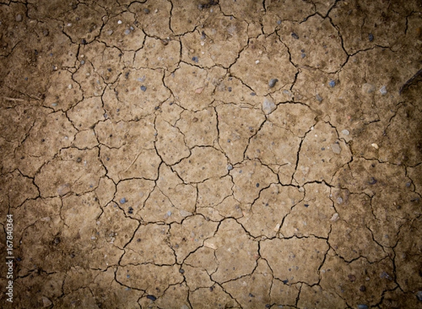 Fototapeta Dry land texture background pattern