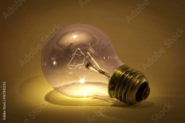 Obraz Light bulb