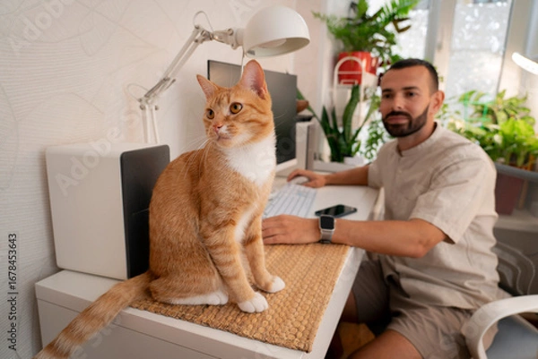 Fototapeta A man works on a computer at his desk, and a ginger tabby cat sits calmly next to him, gazing towards the side in a bright home office environment during the day