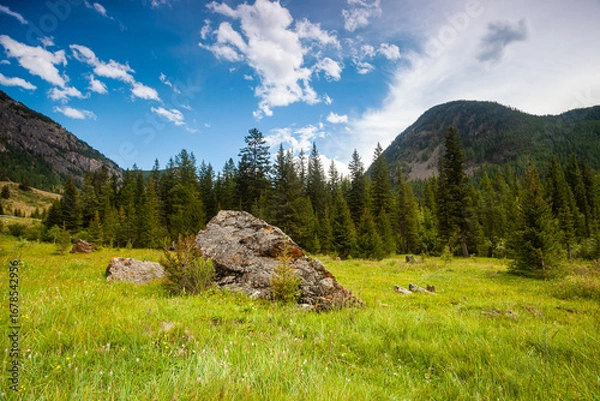 Obraz Landscape with forest among mountains