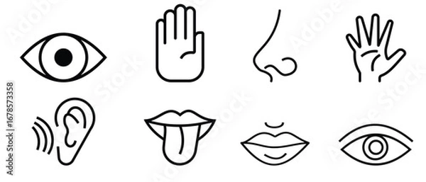 Fototapeta Five human senses outline icons set. Human senses 5 five types. Vision through eye, Smell with nose, hearing ear, touch hand,  taste mouth with tongue. Vector illustration.