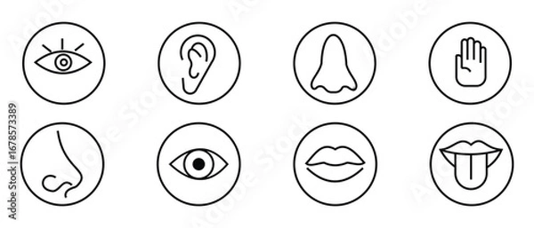 Fototapeta Five human senses outline icons set. Human senses 5 five types. Vision through eye, Smell with nose, hearing ear, touch hand,  taste mouth with tongue. Vector illustration.