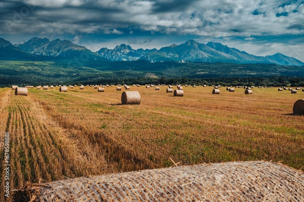 Fototapeta Golden hay bales scatter across a summer field under towering mountains, creating a serene and timeless landscape.
