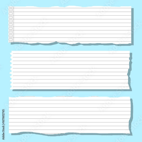 Fototapeta set of ripped lined paper elements for notes decoration and design