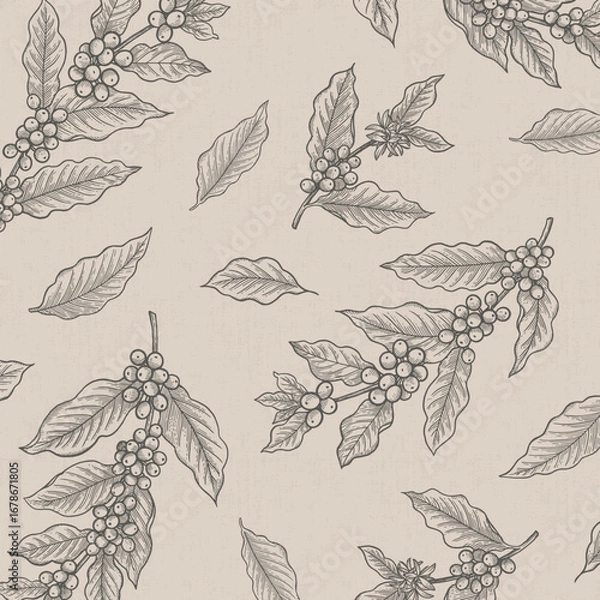 Fototapeta コーヒーの木の線画ベクターイラスト（ベージュ背景）
