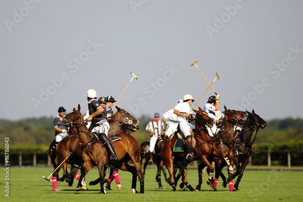 Obraz otwarte2009_02