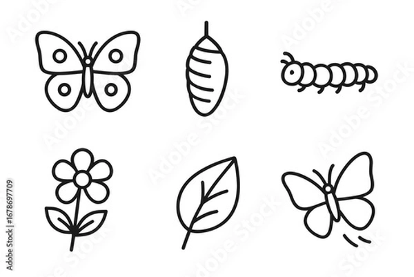 Fototapeta Butterfly life cycle: caterpillar, chrysalis, and butterfly stages with flower and leaf