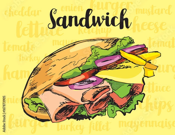 Fototapeta Sandwich vector image. Hand drawing. Junk food.