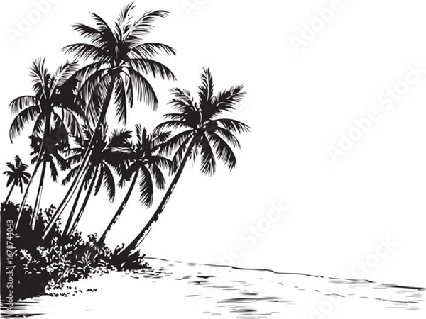 Fototapeta palm trees on the beach engraving outline vector art illustration design, palm tree silhouette, hand drawn beach drawing, line art palm tree, sea, beach, summer view, vintage palm tree on sea beach.