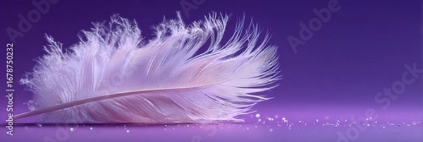Fototapeta A delicate white feather rests on a soft purple background, adorned with subtle sparkles, creating an ethereal and tranquil atmosphere.
