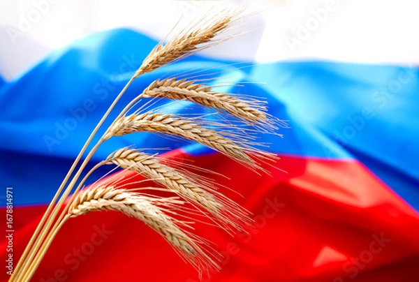 Fototapeta Wheat on Russian flag background. Wheat grain from Russian Federation. Russian wheat export prices. Export curbs from Russia. Russia economy wartime grain shipment. Export of rye, barley, corn, grain.