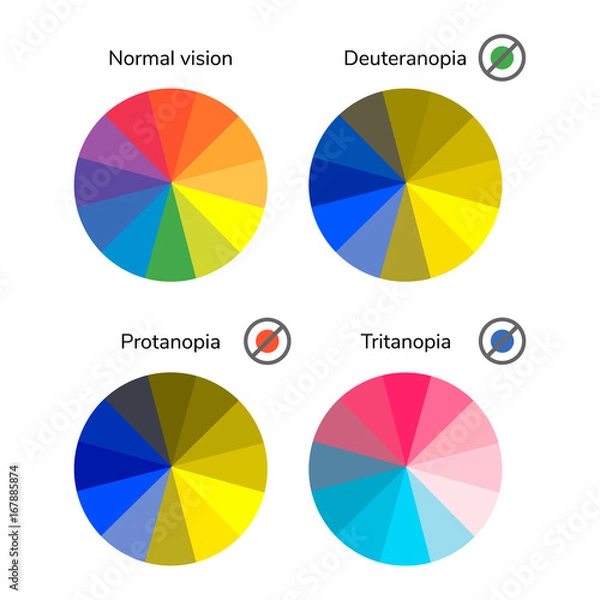 Fototapeta vector illustration, infographics, color wheel, palette, normal
