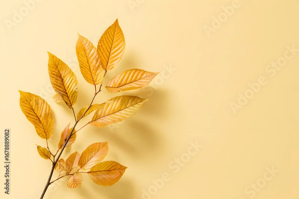Fototapeta Autumn leaves on yellow background. Minimal and simple seasonal design material