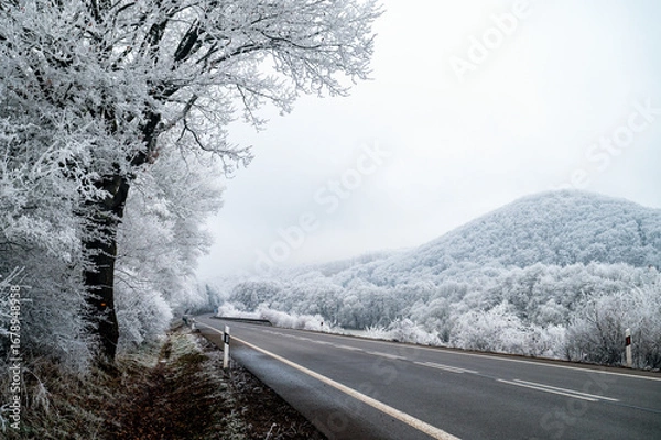 Fototapeta Winter serenity surrounds a dual-lane road cutting through frosted meadows and snow-dusted trees in a Christmas wonderland