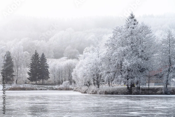Fototapeta Gentle sunlight filters through the fog over a white frozen pond in a magical holiday landscape